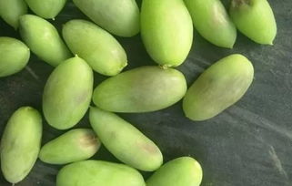 植?？萍贾r業發展，特色產業推動鄉村振興